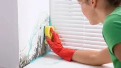 Odstraňování plísně ze zdi v interiéru pomocí houby a ochranných rukavic
