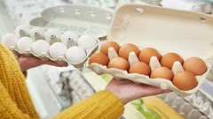 Porovnání cen vajec v nejoblíbenějších supermarketech v zemi. Zde se prodávají nejlevnější vejce
