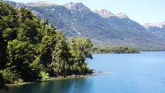 Zelené stromy u jezera Lagos del Sur v Patagonii, Argentina během dne
