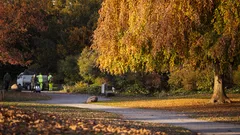 Nákladní auto zaparkované u cesty pokryté listím